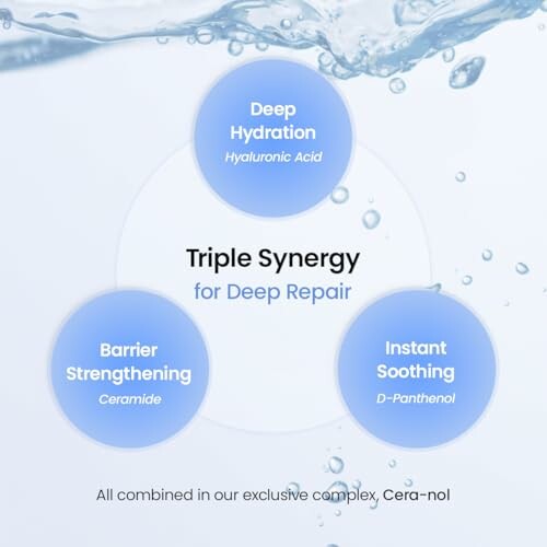 Illustration of skincare benefits: deep hydration, barrier strengthening, instant soothing.